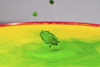 A green drop hits a yellow-green liquid and creates colourful patterns, water droplets, collision,