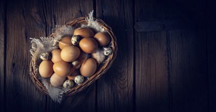 Fresh eggs straight from the farm in a basket