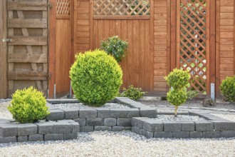 Ornamental Plants in Yard with Wooden Fence Barsel, Germany, Europe