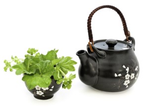 Tea set with greens over the white background