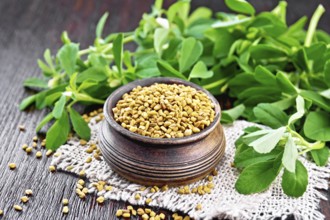Fenugreek seeds in a bowl on a burlap napkin with green leaves on dark wooden board background