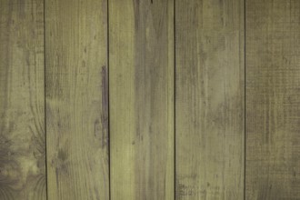 Green painted wooden boards creating a rustic background texture, ideal for design projects related