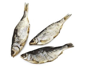 Dry Fish Over The White Background