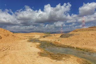 Landscape Oman, Raysut Waste Water Treatment Plant, Tree, Palm, Building, Steppe Eagle, Aquila