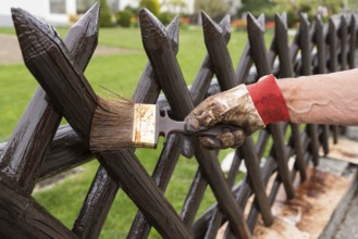 Person painting their wooden garden fence - close-up of classic hunter fence