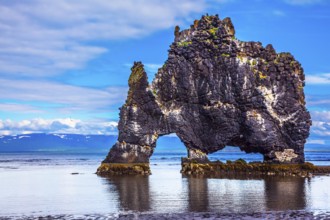 Northwest Iceland. Hvitserkur - basalt rock in the form of a huge scary monster. The concept of