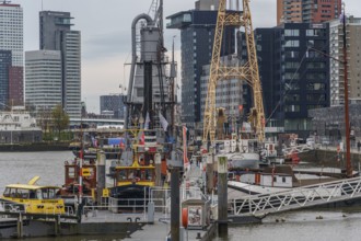 Various ships and cranes in a modern harbour and urban environment, rotterdam, the netherlands