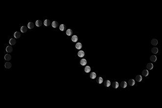 Phases of the Moon. Lunar cycle.