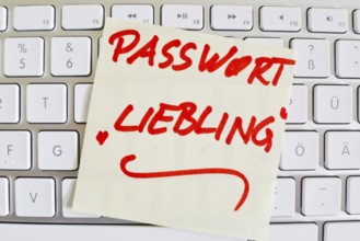 A note on the keyboard of a computer as a reminder: Password favourite Austria