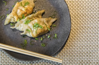 Beautiful gyoza or dumplings snack with soy sauce, selective focus, copy space