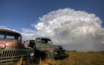 Vintage Farm Trucks Saskatchewan Canada weathered and old