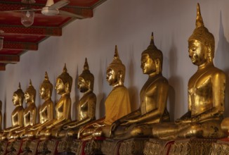 A picture of golden Buddha statues at the Wat Pho Temple