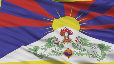 Tibet Flag, Closeup View