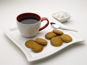 Mug of black tea in serving plate with sugar cubes and biscuits India