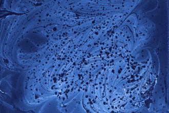 Abstract creative marble pattern texture. Traditional art of Ebru marbling