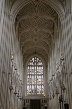 Interior view, ceiling, stained glass window, Bath Abbey, Bath, England, Great Britain