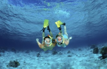 Two woman snorkelling, Indian Ocean, Maldives, Asia