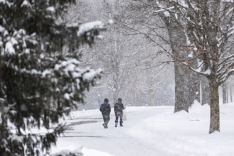 Heavy snow squalls of lake-effect snow falls over Springbank Park in London, Canada. Environment