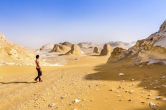 White Desert at Farafra in the Sahara of Egypt. Africa