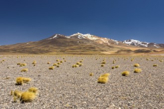 Atacama Desert, Chile. Salar Aguas Calientes. Lake Tuyacto. South America