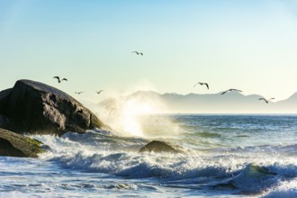Seagulls over the sea waves at Devil Beach between Copacabana and Ipanema in Rio de Janeiro during