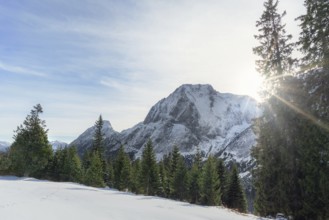 Winter scenery with the sun shining over the snowy Austrian Alps, the green forest and white