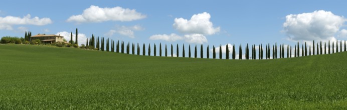Tuscany landscape panorama with farmhouse and cypresses at sunny day. Province of Siena, Italy,