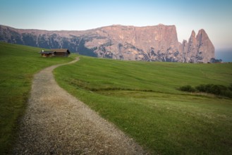 Hiking trail with Schlern mountain, Seiser Alm, South Tyrol, Italy, Europe