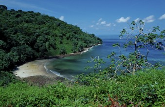 Cocos Island, Costa Rica, South America, Central America