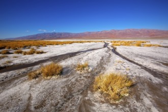 Death Valley National Park California Badwater salt soil desert