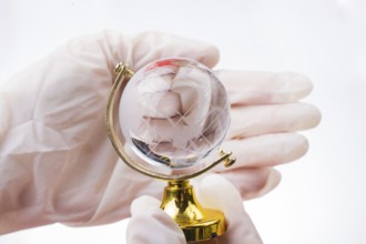The pandemic concept. Hands in white gloves holding a globe