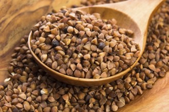 Buckwheat seeds on wooden spoon in closeup, lodz, poland
