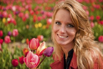 Young blond woman is picking flowers in the Dutch tulips fields