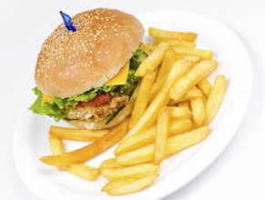 A cheeseburger with deep fried potatoes, closeup