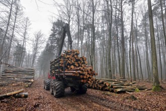 Forestry, forwarder