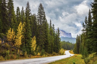 Canada Rockies. Lovely Golden Autumn in Banff National Park. Highway among orange grass and