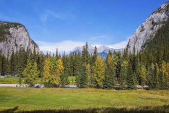 Mountain valley in Banff National Park. The sunny day in the Canadian Rockies