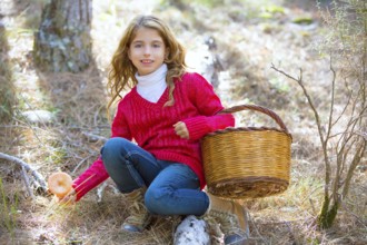 Kid girl searching chanterelles mushrooms with basket in autumn forest