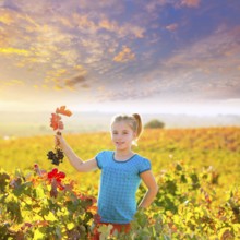 Blond Kid girl in happy autumn vineyard field holding red leaf grapes bunch in hand