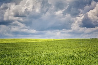 Green Field Under The Gloomy Sky Bulgaria