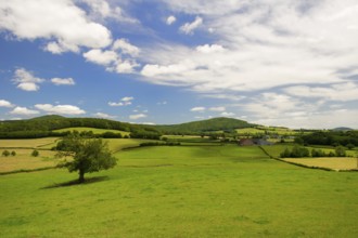 Wide landscape at countryside in French Bourgogne