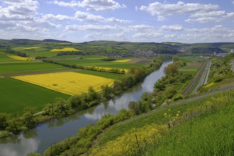 Landscape and vineyards near Stetten with a view of the Main valley, Main-Spessart district, Lower