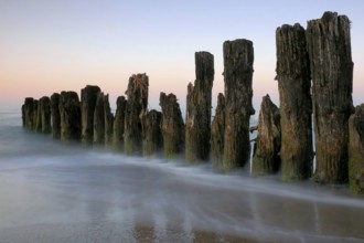 Groyne in the evening light on the Baltic coast