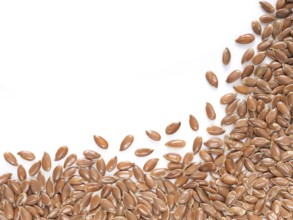 Brown flax seed with copy space. Isolated one edge. Top view or flat lay