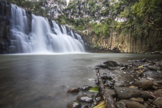 The waterfall is a 10 metre high waterfall that cascades over basal pillars into a basin. Tropical