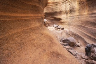 Scenic limestone canyon, Barranco de las Vacas in Gran Canaria, Canary islands Spain