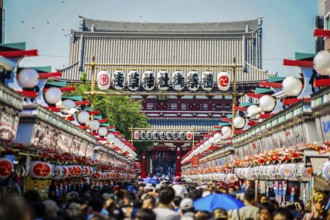 Sanja Matsuri of the image (Asakusa Sensoji Temple). Shooting Location: Tokyo metropolitan area