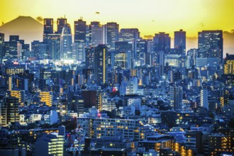 Sunset from the Bunkyo Civic Center (Shinjuku). Shooting Location: Tokyo metropolitan area