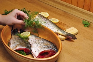 Fish carcass with spices on wooden hardboard, prepared for cooking