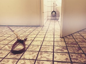Dog leash on floor under door of toilet surrealistic image amsterdam